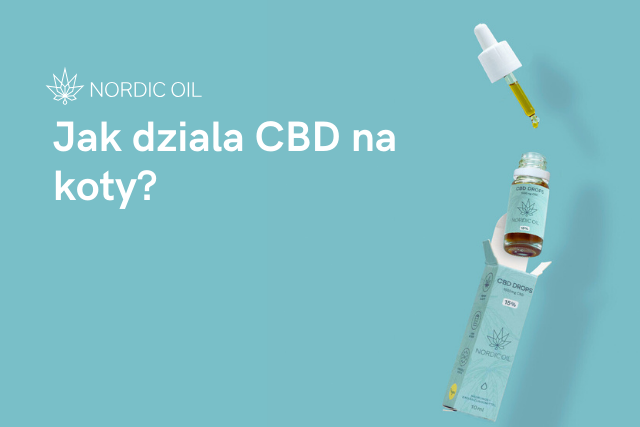 Jak dziala CBD na koty?