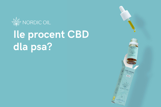 Ile procent CBD dla psa?