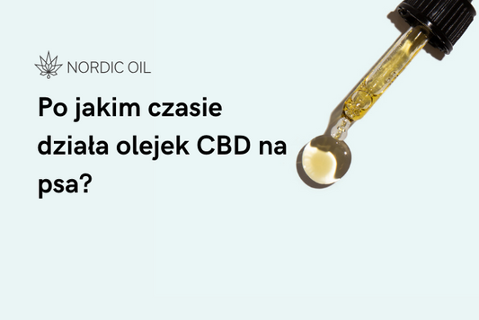 Po jakim czasie działa olejek CBD na psa?