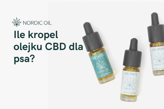Ile kropel olejku CBD dla psa?