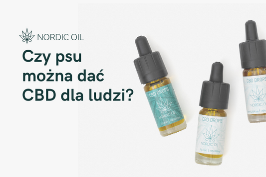 Czy psu można dać CBD dla ludzi?
