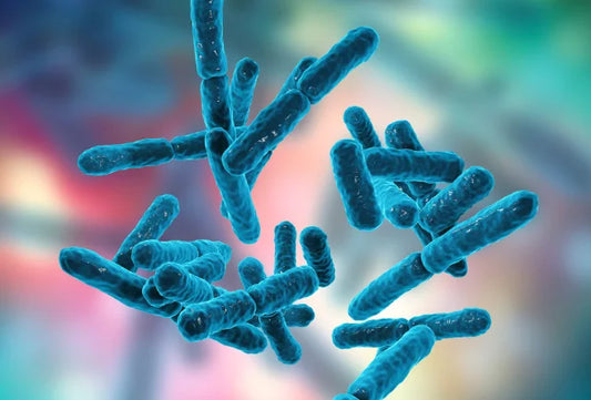 Czym są probiotyki i prebiotyki? Różnice, spożycie i więcej