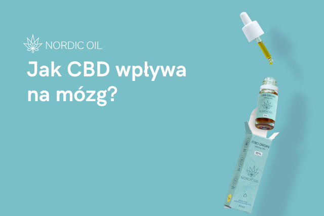 Jak CBD wpływa na mózg?