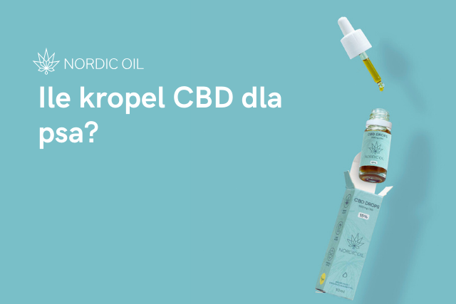 Ile kropel CBD dla psa?