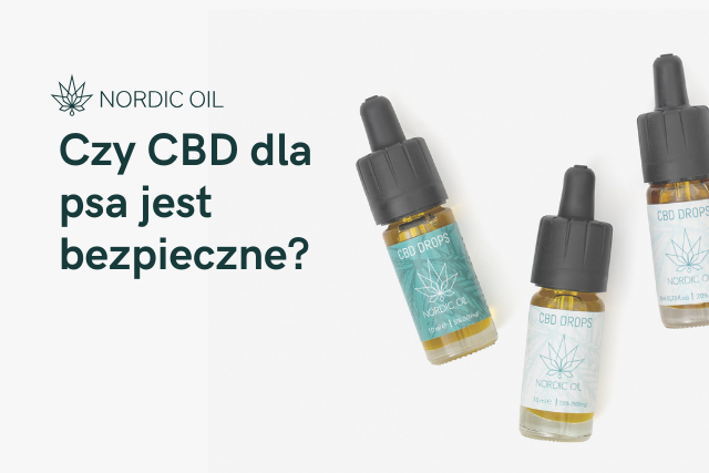 Czy CBD dla psa jest bezpieczne?