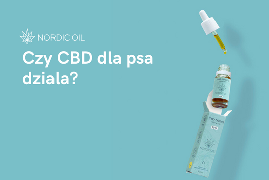 Czy CBD dla psa dziala?