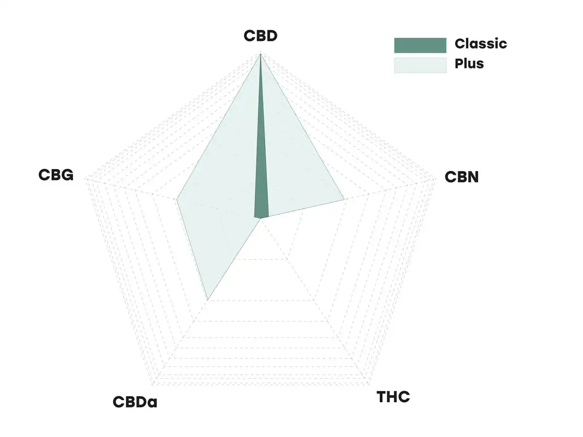 Schemat pokazujący różnicę między olejem CBD o pełnym spektrum i szerokim spektrum działania 