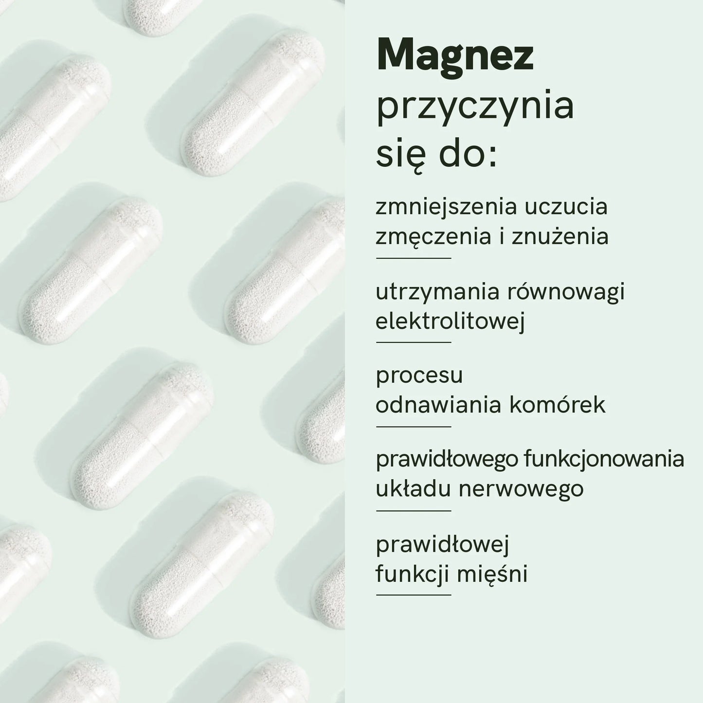 Kompleks Magnezu