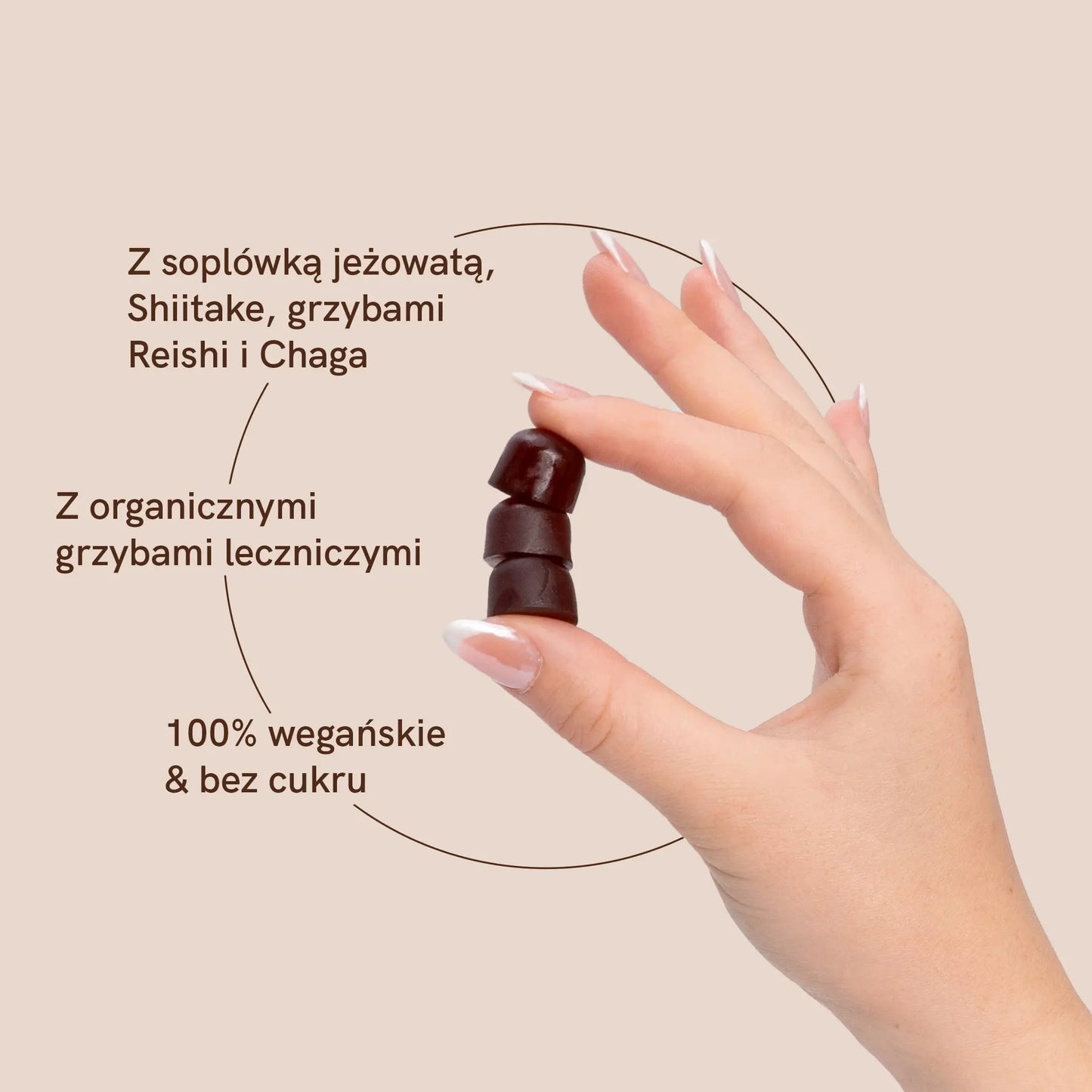 Grzyby lecznicze