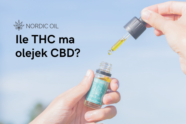Ile THC ma olejek CBD?