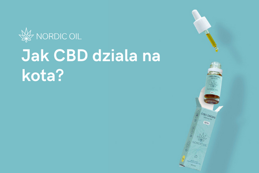 Jak CBD dziala na kota?