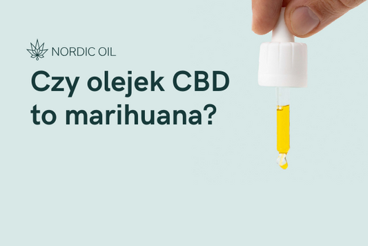 Czy olejek CBD to marihuana?