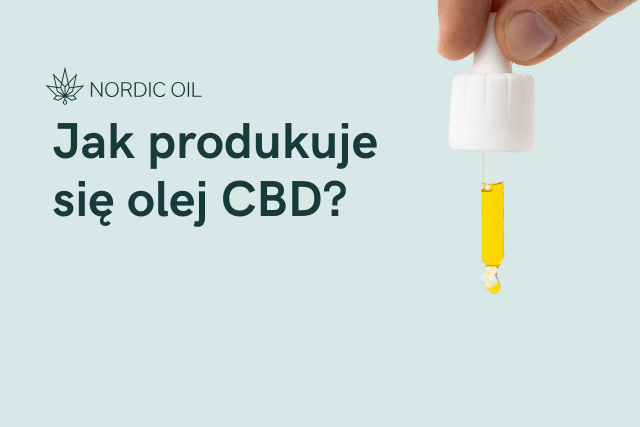 Jak produkuje się olej CBD?