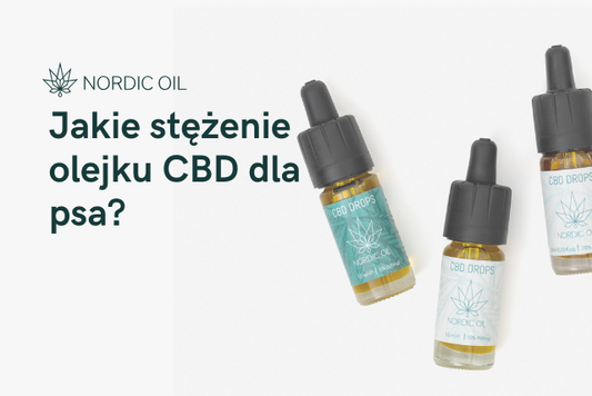 Jakie stężenie olejku CBD dla psa?