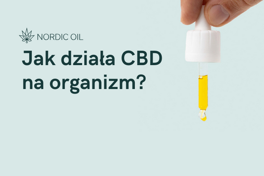Jak działa CBD na organizm?