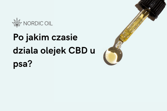 Po jakim czasie dziala olejek CBD u psa?