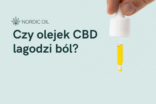 Czy olejek CBD lagodzi ból?