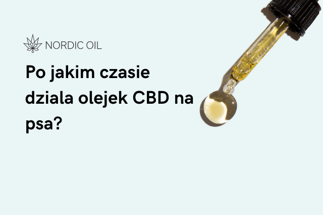 Po jakim czasie dziala olejek CBD na psa?