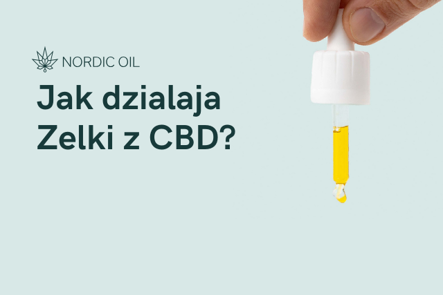 Jak dzialaja Zelki z CBD?