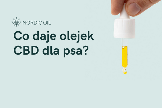 Co daje olejek CBD dla psa?