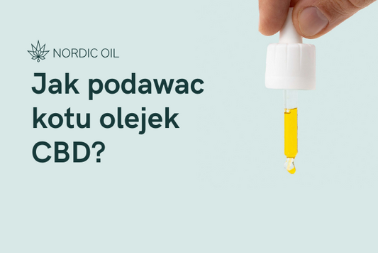 Jak podawac kotu olejek CBD?