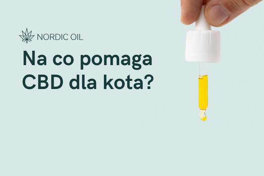 Na co pomaga CBD dla kota?