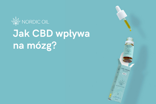 Jak CBD wpływa na mózg?
