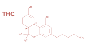 Wzór molekularny THC