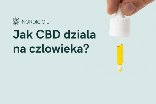 Jak CBD dziala na czlowieka?