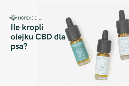 Ile kropli olejku CBD dla psa?