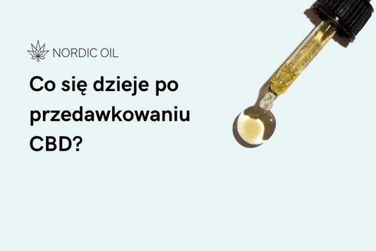 Co się dzieje po przedawkowaniu CBD?