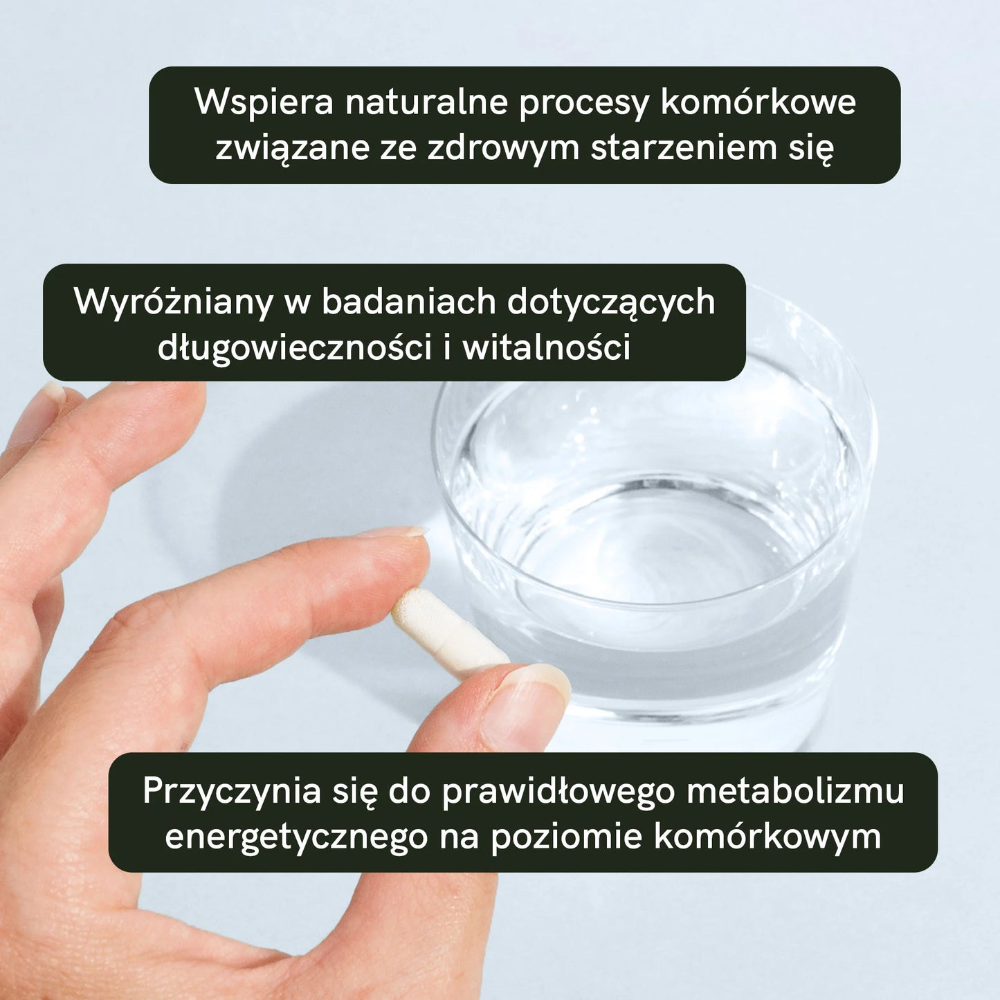 Kapsułki z rybozydem nikotynamidu (NR)