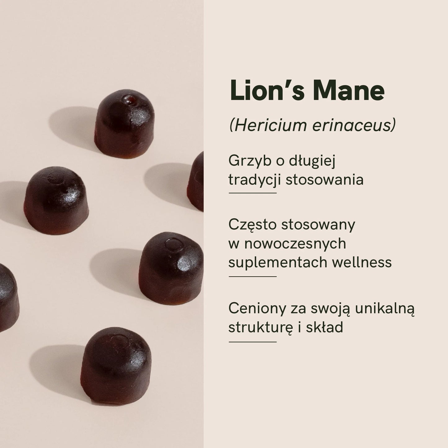 Żelki Lion's Mane Grzyby
