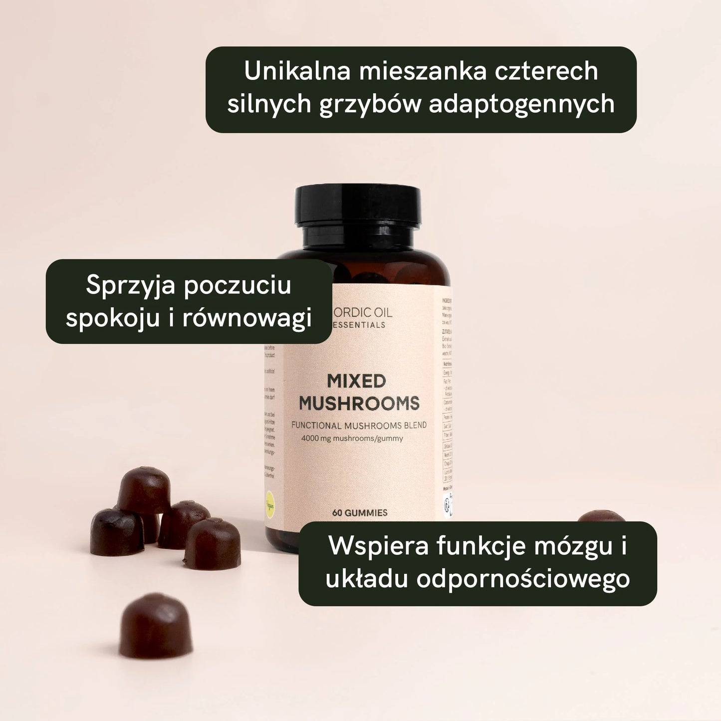 Grzyby lecznicze
