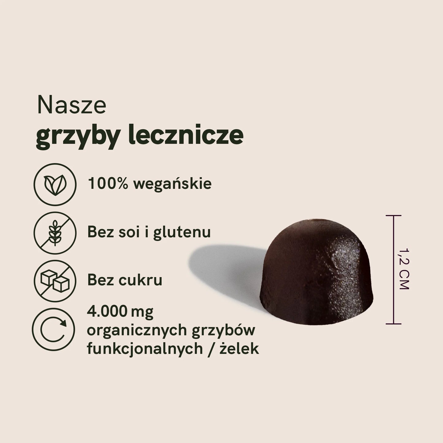 Grzyby lecznicze