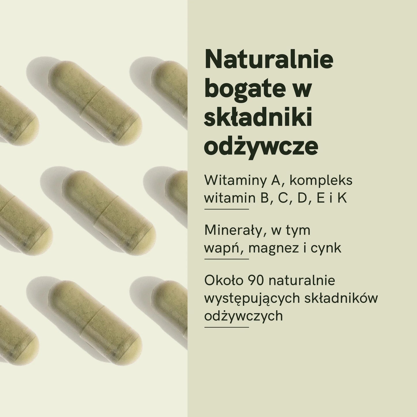 Kapsułki Moringa