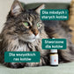 Olej CBD dla kota -  smak ryb (2,5%)