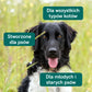 Olej CBD dla psa - wołowina (2,5%)