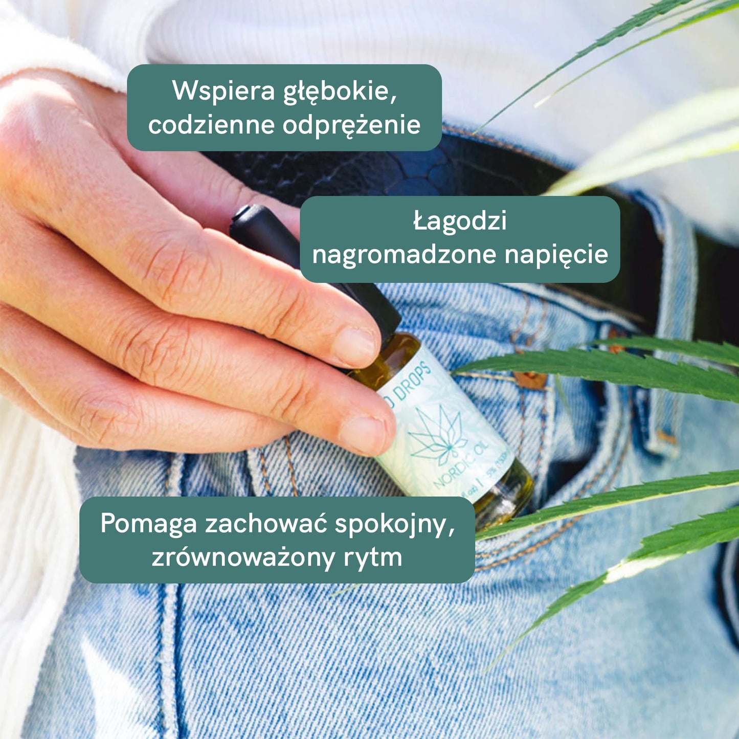 Olejek CBD 15% CLASSIC