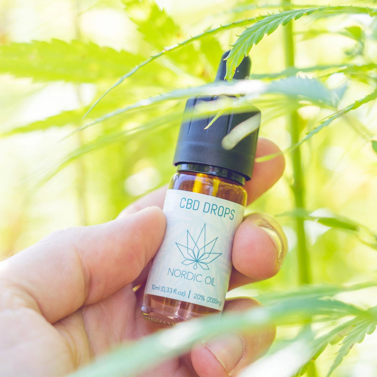 Olejek CBD 20% CLASSIC