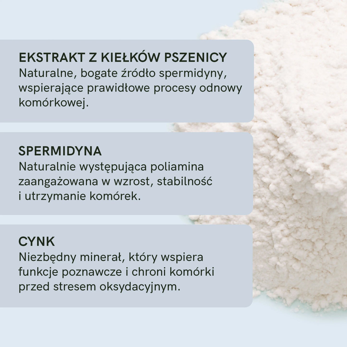 Kapsułki z Spermidyną