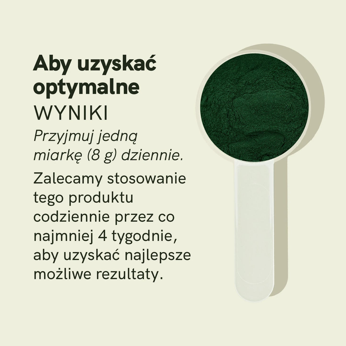 Proszek Spirulina Chlorella