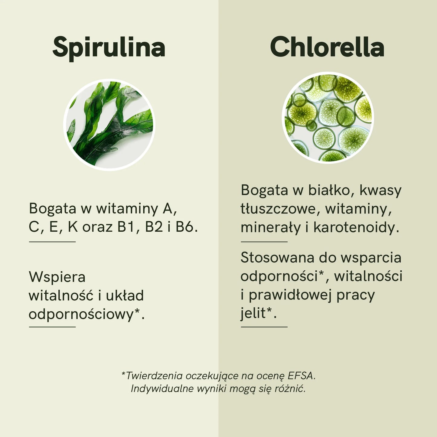 Proszek Spirulina Chlorella